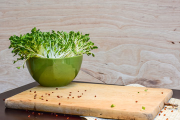 Green vegetable,salad for health