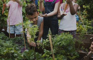 Group of kindergarten kids learning gardening outdoors