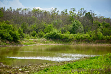 Marsh lake in the forest