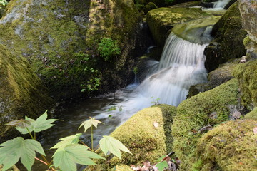 Gaishöll-Wasserfälle bei Sasbachwalden, Schwarzwald