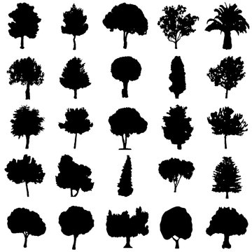 set of black silhouette trees vector - ecology concept