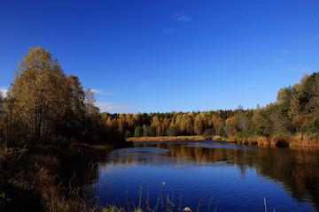 Autumn forest lake sky
