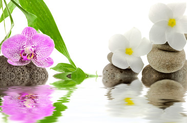 Fototapeta na wymiar orchidée et fleurs blanches de frangipanier sur galets 