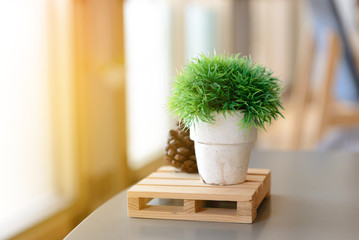 Small artificial trees or Artificial Grass in vase on table with copy space