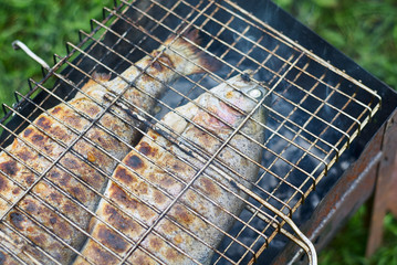 Fried fish on the grill