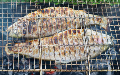 Fried trout on the grill
