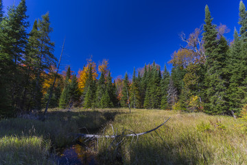 Mikisew Provincial Park