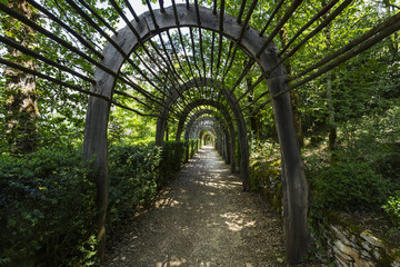 Trellised Walkway