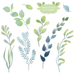 Set with floral elements and leaves