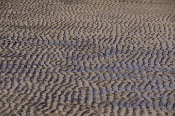 Fototapeta premium Beach sand waves warm texture pattern background