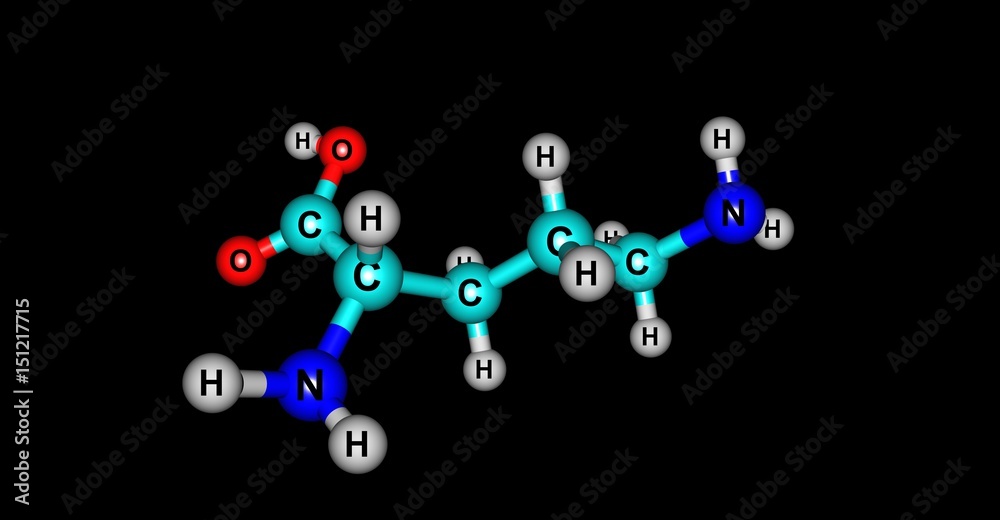 Wall mural Ornithine molecular structure isolated on black