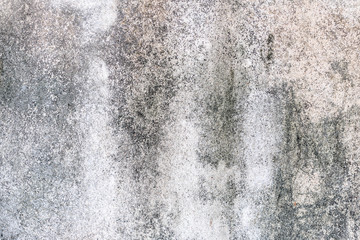 Lichen on the old white wall.