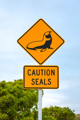 Seehund-Schild in Kaikoura (Penguin Walkway) in Neuseeland (New Zealand)
