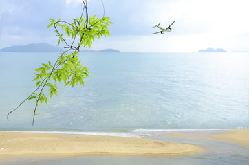 Vacation background at the seaside.