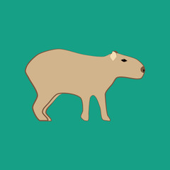 Capybara animal illustration