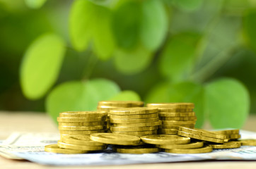 Gold coin with green environmental background.