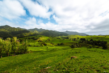 Naklejka premium Landschaft in Neuseeland (New Zealand)