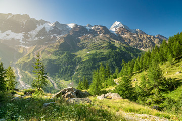 ein Sommermorgen