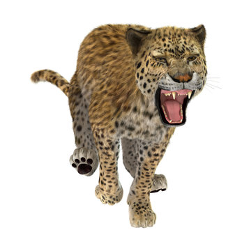 3D Rendering Big Cat Leopard on White