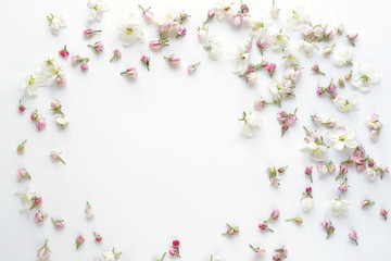 Floral frame from flowers of apple-tree on white background