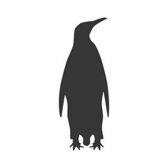 Penguin bird silhouette