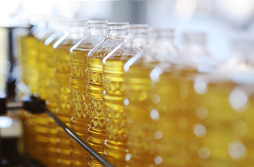 Sunflower oil in the bottle moves along the conveyor line. Production of vegetable refined oil from...