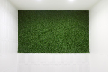 Green lawn on wall in white lit room - this is nature style decoration