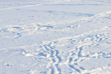 Fototapeta na wymiar Many footprints are on white fresh snow at sunny winter frost day