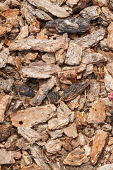 Crushed tree bark texture background closeup. Shredded brown tree bark for decoration and mulching or for playground.