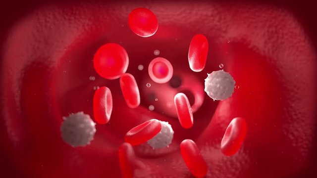blood stream