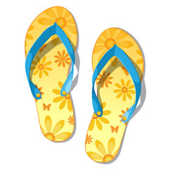 Pair of flip-flops isolated on a white background.