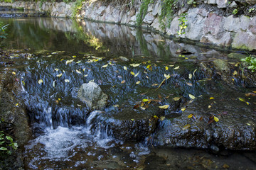 Fototapeta na wymiar Water gently flowing over rocks