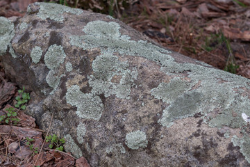 large rocks covered with moss