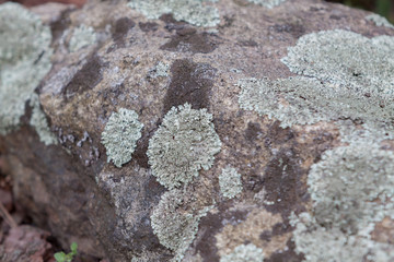 large rocks covered with moss