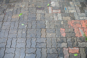 Fototapeta premium Walkway wet