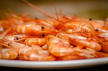 Marisco
Quisquillas