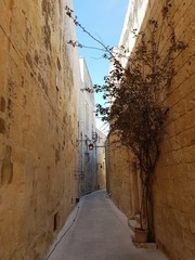 Mdina. Malta. Stare miasto © michalsen