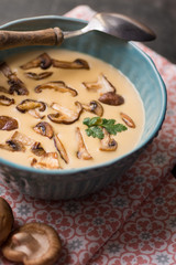 Creamy Mushroom Soup in Bowl on Stone Background. Homemade Mushrooms Pottage Puree.