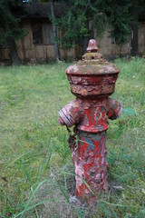 Fototapeta premium Hydrant