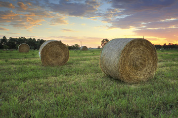 Hay bales in the Hawkesbury fields with a pretty sunrise sky behind © Leah-Anne Thompson