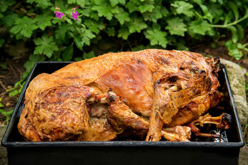 Traditional roasted in a furnace lamb for St. George`s  day in Bulgaria © diyanadimitrova