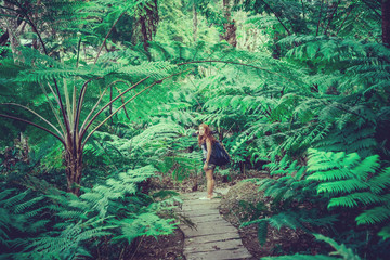 Natural background. Women walking on the path study Fern Forest Nature.  Thailand chiangmai doiinthanon