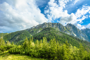 Landscape of mountains in spring, green forest and blue sky, Tatras, Carpathians, Poland
