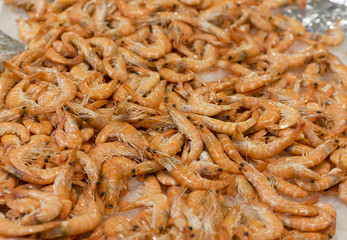 Seafood at a market, fresh shrimps on the ice