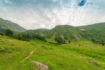 Fototapeta na wymiar Summer Mountain Plateau Highland with Gorgit, Artvin, Turkey