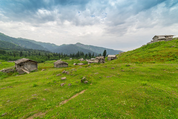 Summer Mountain Plateau Highland with Gorgit, Artvin, Turkey © klenger