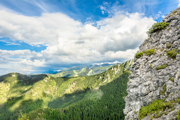 Panorama of mountains in Tatras, view of forest from top of mountain, summer, landscape, Poland