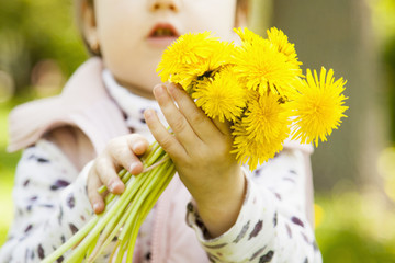 Little baby girl gives you yellow wild flowers as a symbol of the holiday greetings. (Celebration, gift, childhood concept)