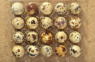 Quail eggs in a transparent plastic container in a sacking