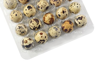 Quail eggs in a transparent plastic container on a white